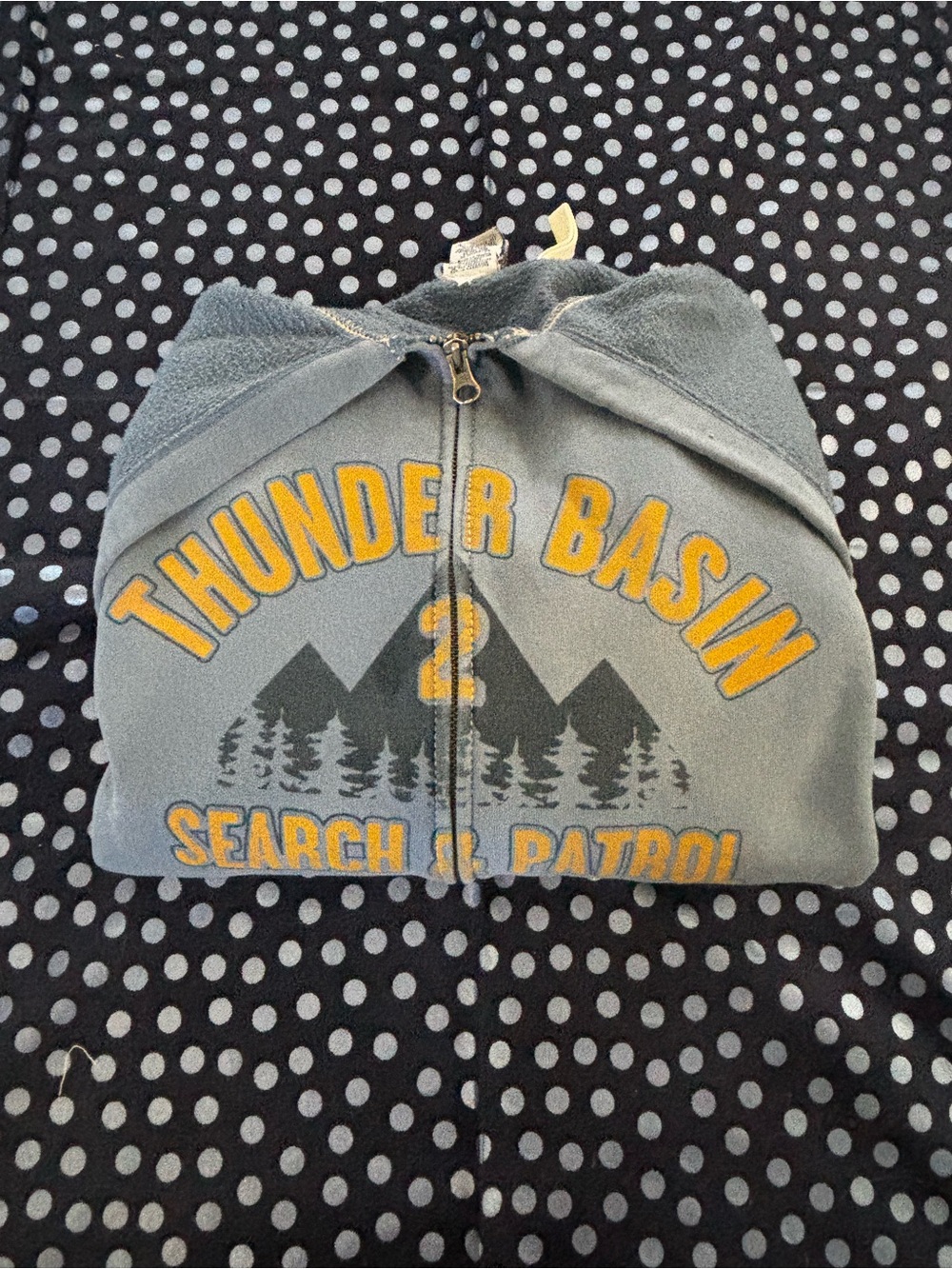 Old Navy Gray Zip Hoodie with Yellow Thunder Basin Graphic